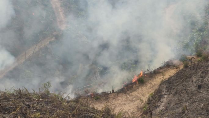 山火炼山森林火灾森林防火防火带森林火警