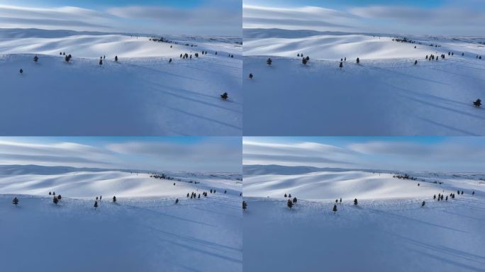 呼伦贝尔大雪原