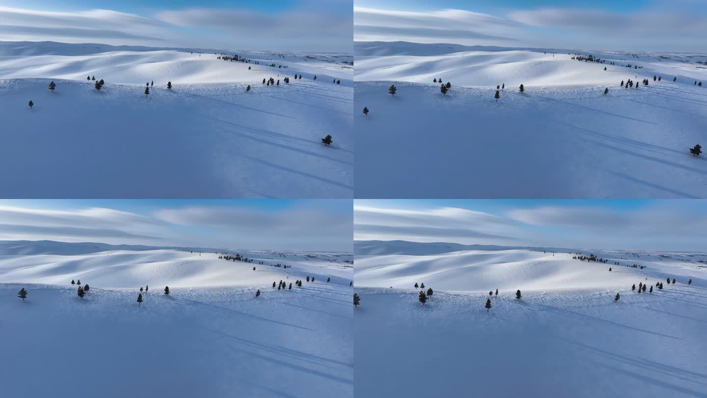 呼伦贝尔大雪原