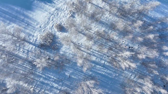 森林俯拍冬季白桦林雪景