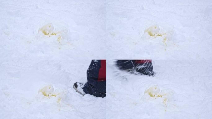狗狗在白色毛绒绒的雪地上留下恶心的黄色尿液