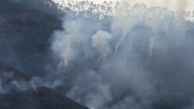 炼山山火森林火灾森林烟火森林防火防火带
