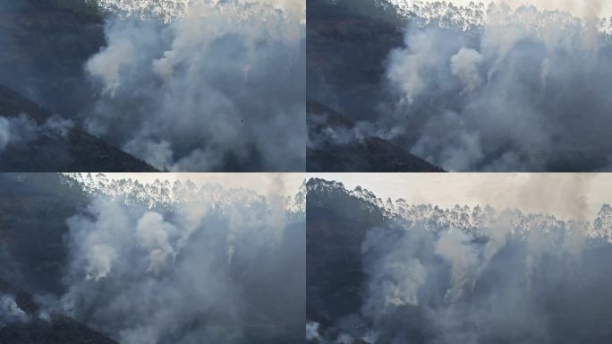 炼山山火森林火灾森林烟火森林防火防火带