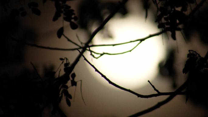 漆黑之夜的满月。