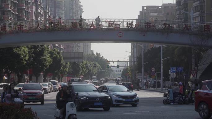 广州城市道路绿化 汽车车流