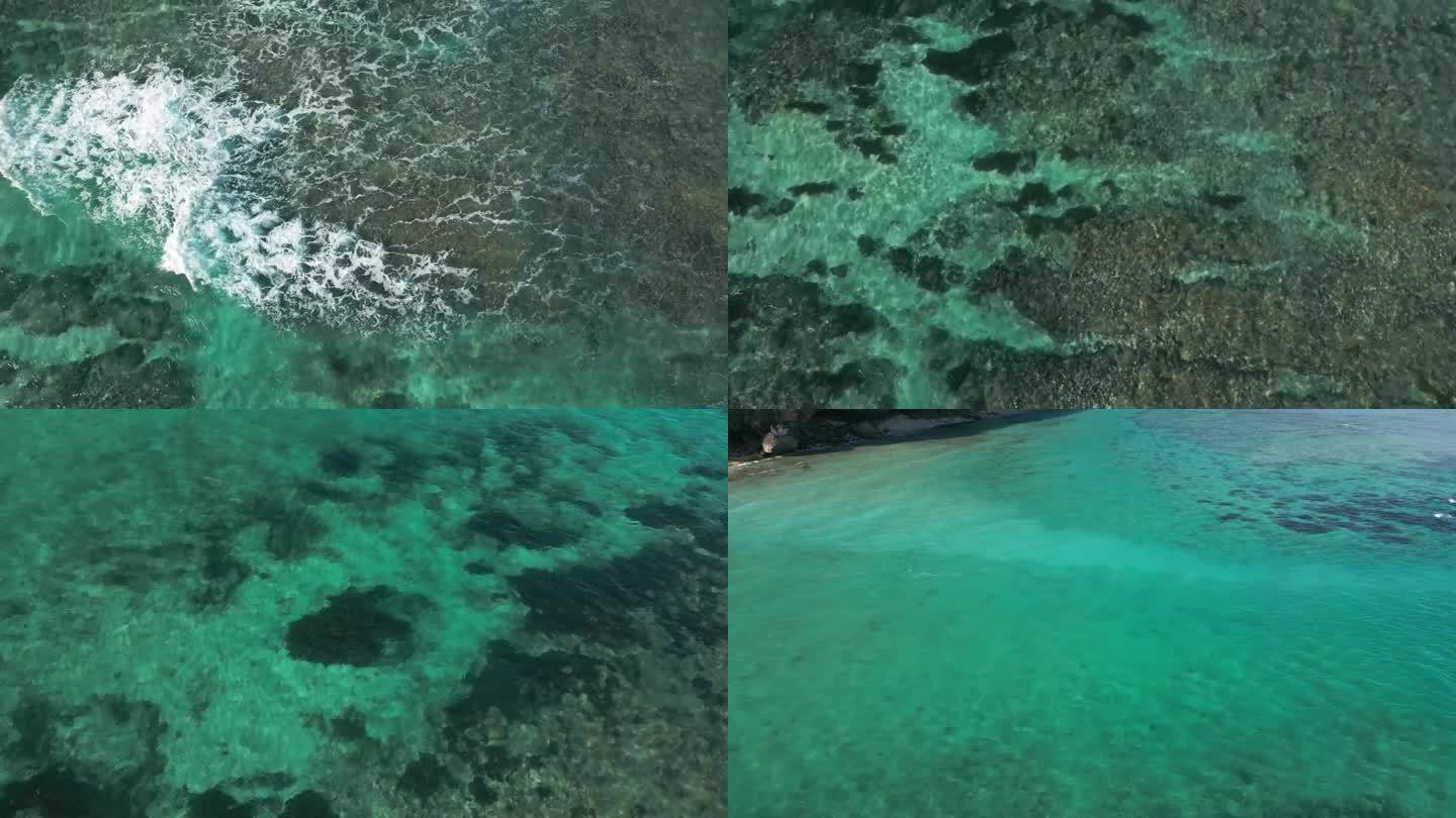 俯瞰美丽的海底与珊瑚礁在博卡斯德尔托罗，巴拿马。