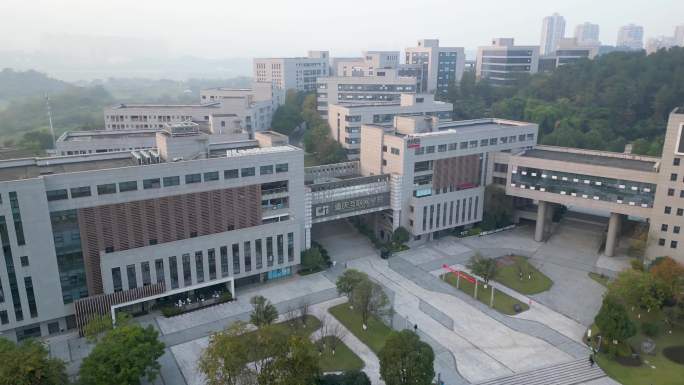 重庆互联网学院