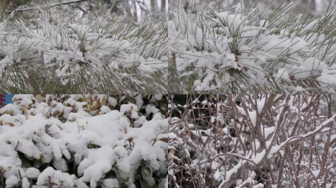 雪景合集