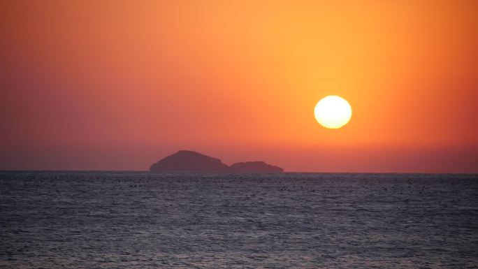 高清海边日落、海鸥飞过