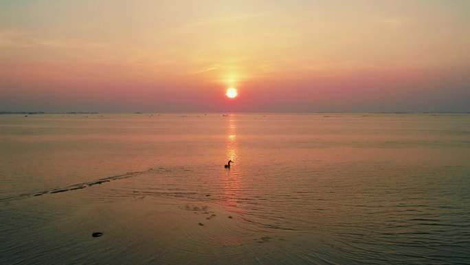 北海 鱼骨沙洲 航拍 渔民面向夕阳