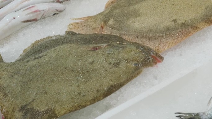 在希腊雅典的海鲜市场，新鲜的涡轮鱼躺在冰柜台上。鱼市的开放式货架上有kalkan