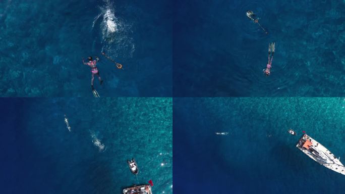 南海西沙自由潜水渔猎