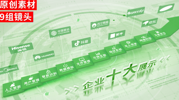 2-10-绿色商务企业分类ae模板包装