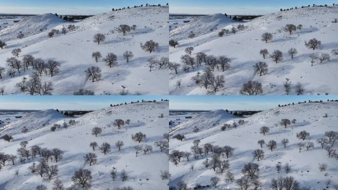 唯美雪原美景 水墨丹青画卷