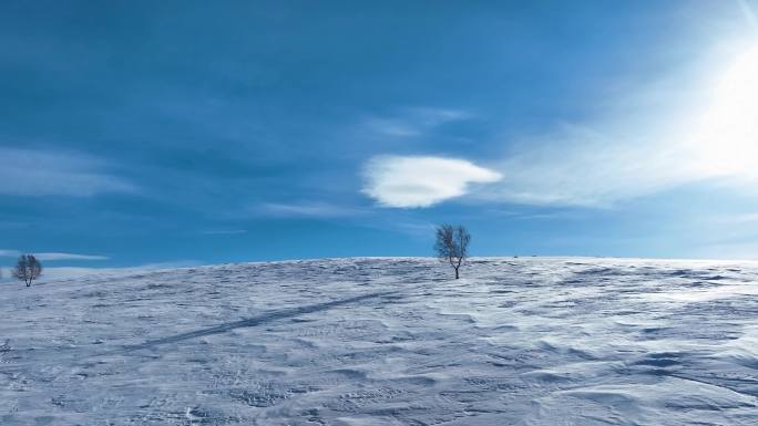 唯美雪原美景 水墨丹青画卷