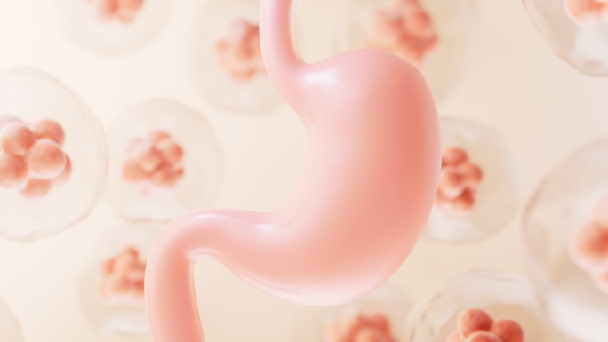 胃部与生物细胞背景3D渲染