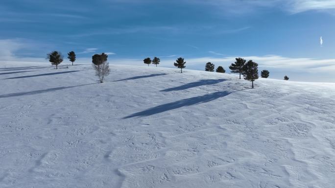 唯美雪原美景 水墨丹青画卷