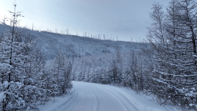 林海雪原雪林和山路