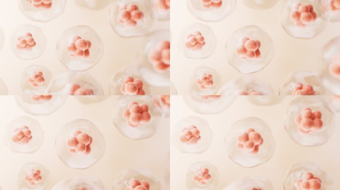 透明细胞结构生物科技概念动画3D渲染