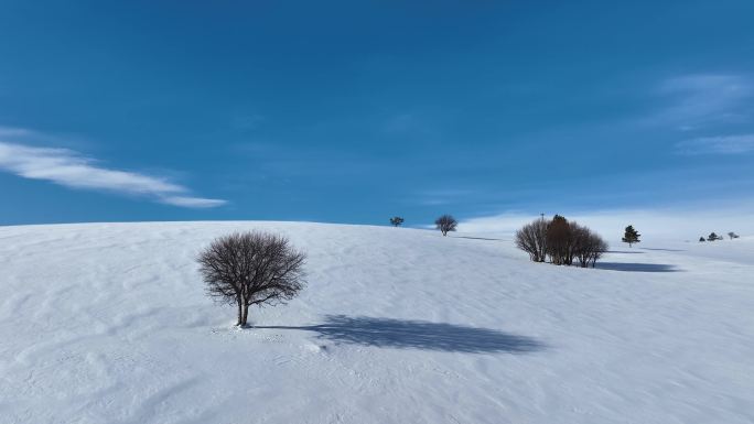 唯美雪原美景 水墨丹青画卷