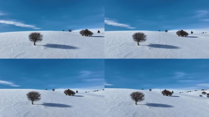 唯美雪原美景 水墨丹青画卷