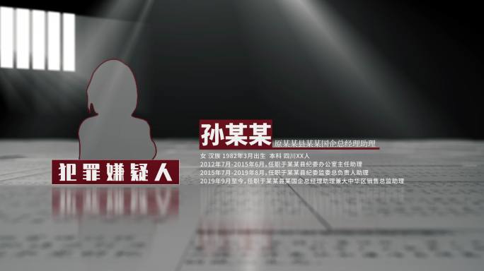 犯罪嫌疑人介绍A（ae模版）违纪违法