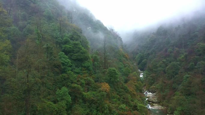 神龙谷瀑布流水小溪云雾山间雨后