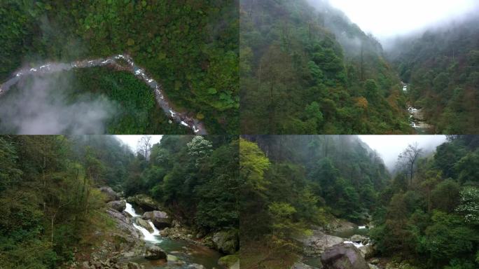 神龙谷瀑布流水小溪云雾山间雨后