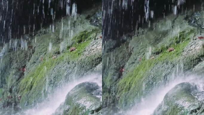 瀑布喷涌在布满青苔的石头上，突出瀑布、青苔之美。宁静的瀑布，大自然中的青苔互动。瀑布的惊人视觉效果，