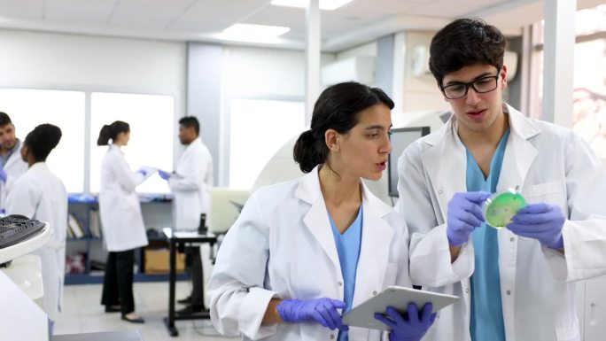 年轻的医学院学生在实验室里分析培养皿中的真菌培养物