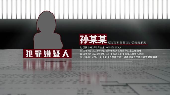 犯罪嫌疑人介绍（ae模版）嫌疑人警示人物