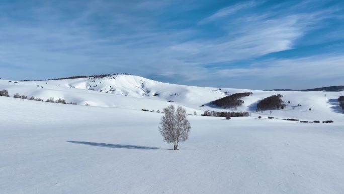 唯美雪原美景 水墨丹青画卷