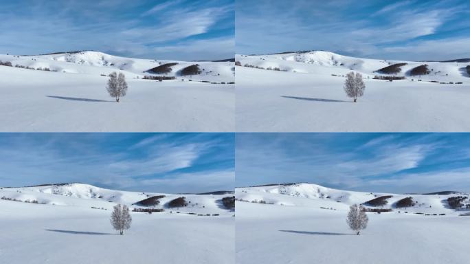 唯美雪原美景 水墨丹青画卷