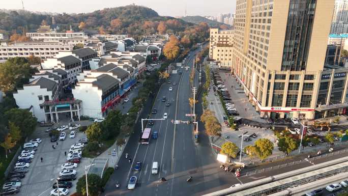 安徽省芜湖市九华南路银杏大道