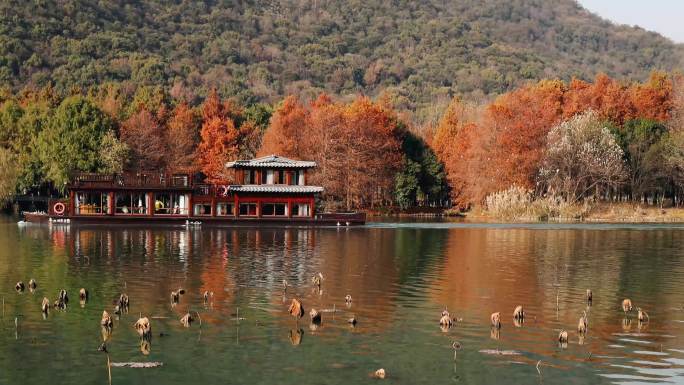 湘湖秋天风光风景红杉树和游船