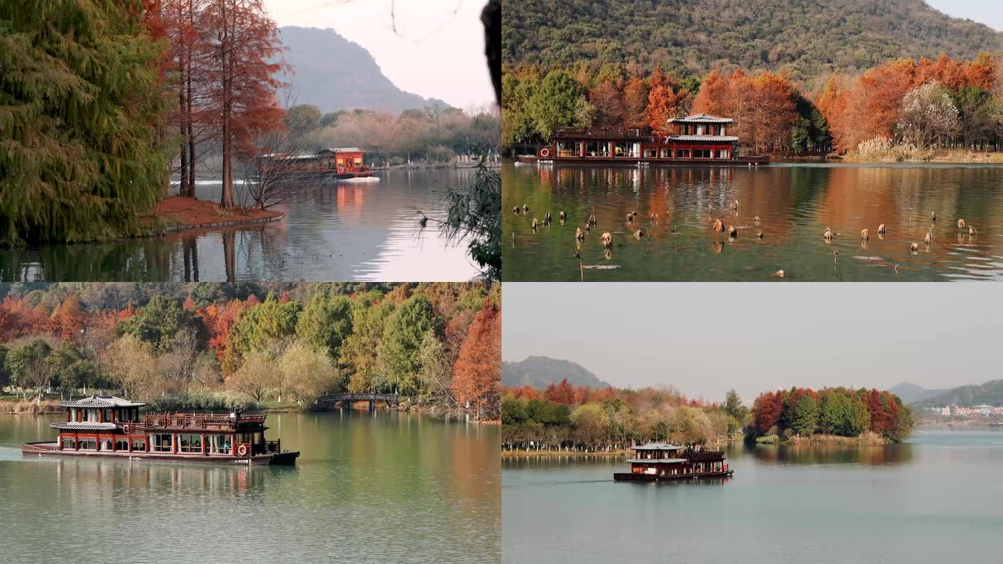湘湖秋天风光风景红杉树和游船