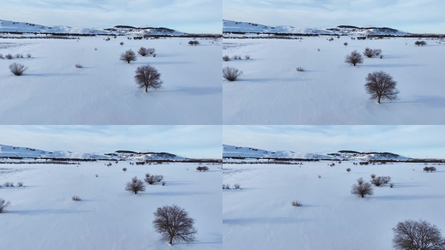 唯美雪原美景 水墨丹青画卷