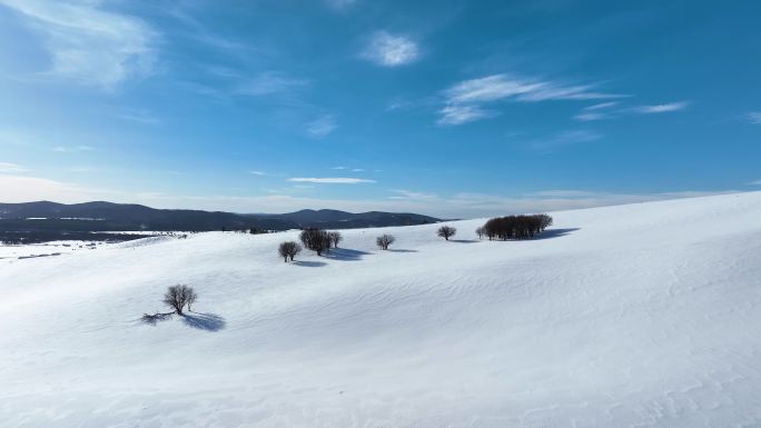 唯美雪原美景 水墨丹青画卷