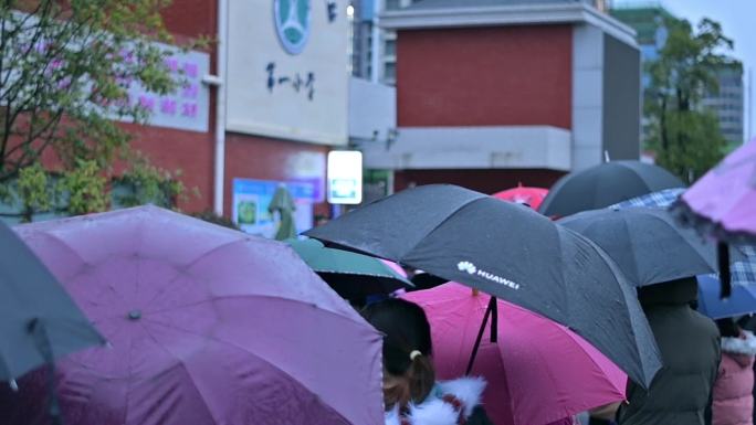 下雨天，学生打伞，家长打伞，上学放学路上