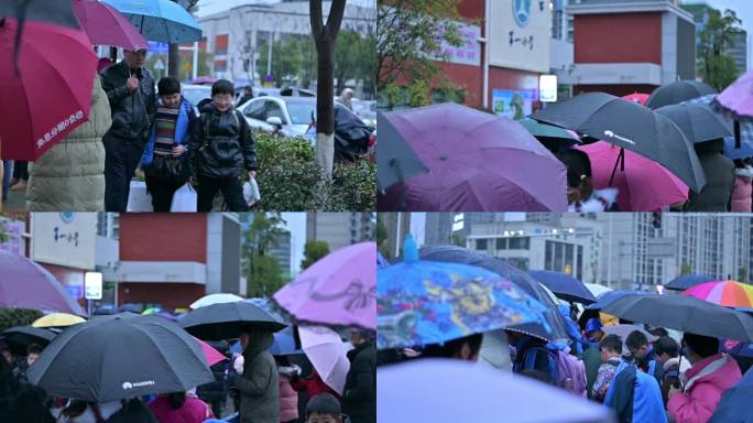 下雨天，学生打伞，家长打伞，上学放学路上
