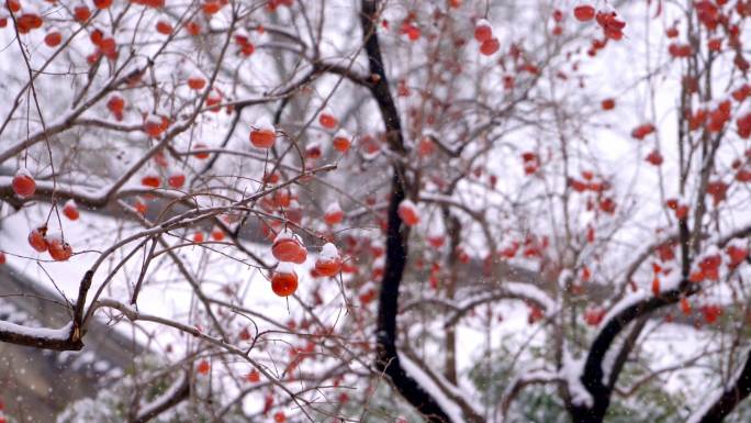 北京北海公园的节日雪景
