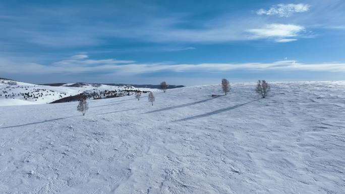 唯美雪原美景 水墨丹青画卷  (18)