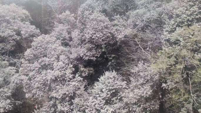 安徽黄山风景区索道缆车雪山风景视频素材