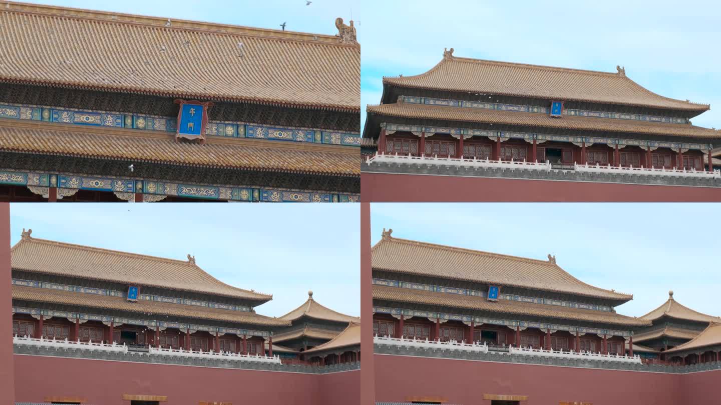 北京故宫午门鸽子绕飞4K60帧升格拍摄