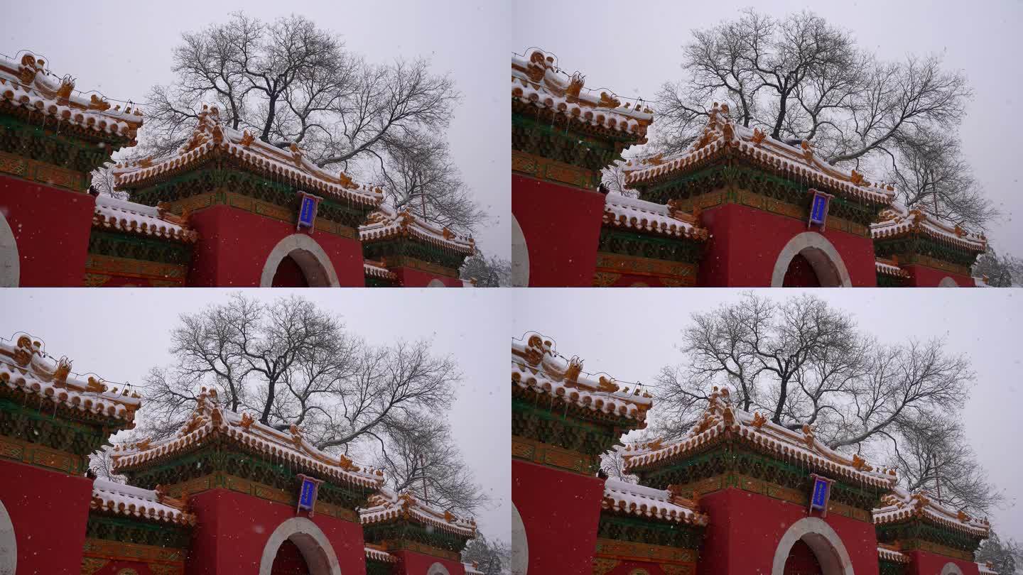 北京北海公园的自然风光
