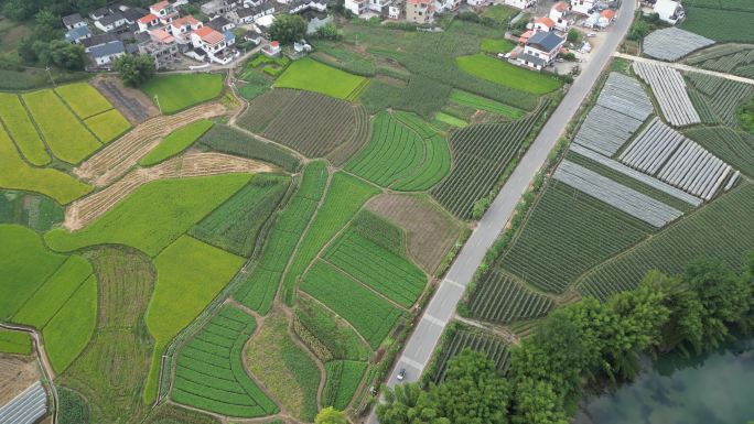 农业乡村土地庄稼田园风景