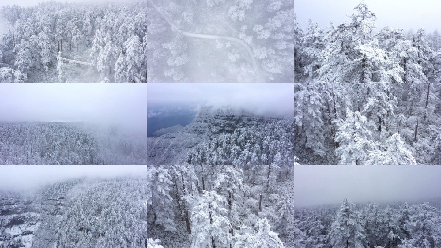 实拍大雪暴风雪后森林的空中视频