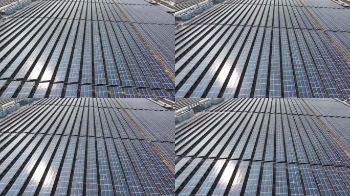【正版4K素材】太阳能光伏发电3