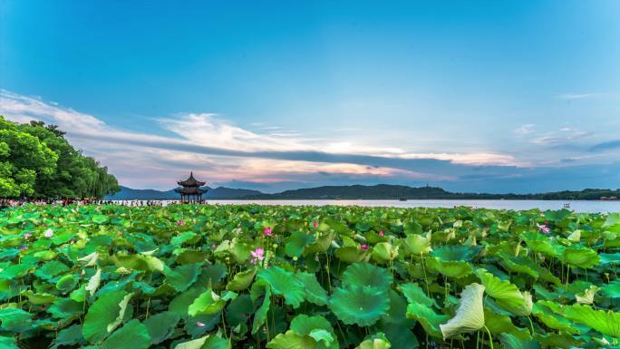 杭州西湖日落延时