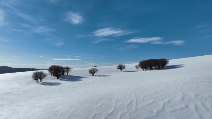 唯美雪原美景 水墨丹青画卷